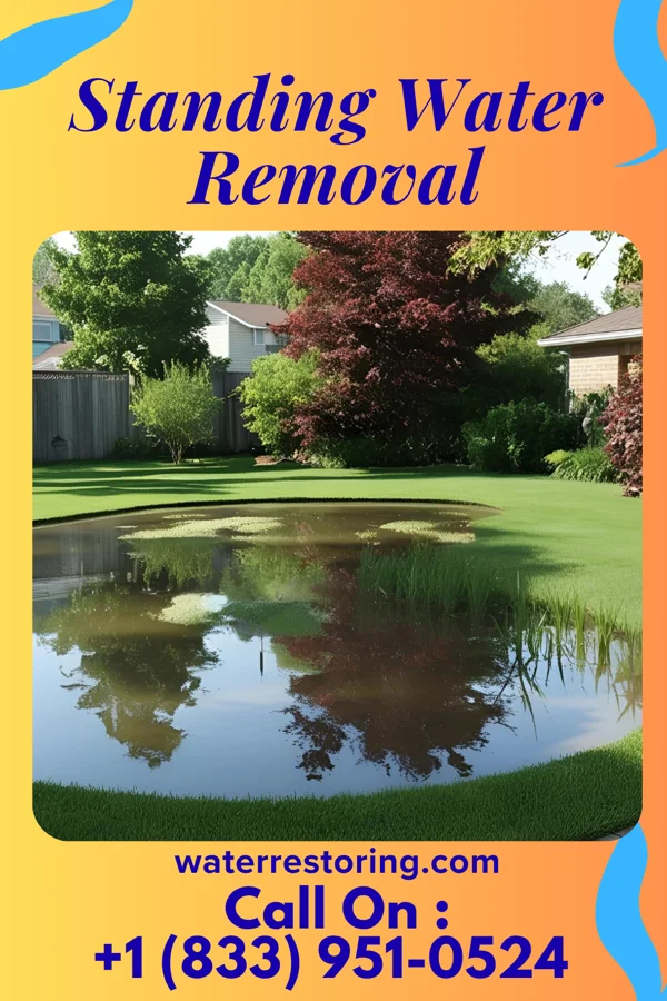Standing Water Removal in Au Sable, MI